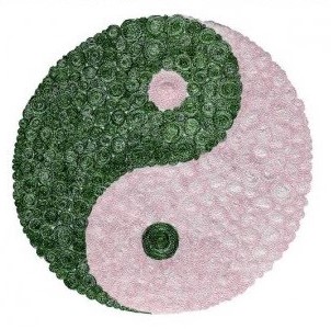 cd-atisova-meditace